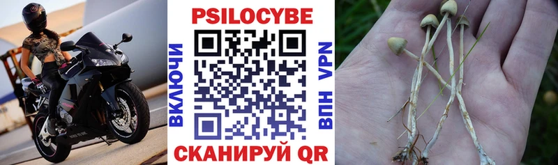 цены   Реутов  Галлюциногенные грибы Cubensis 